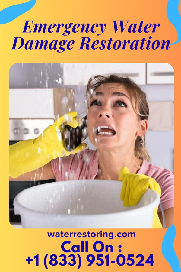 Emergency Water Damage Restoration in Berrien Springs, MI